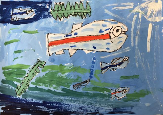 めだかのすいそう　大越