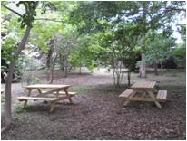 若松みんなの森2