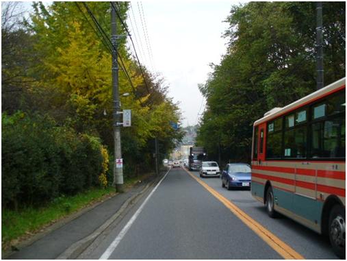 宮崎台緑地保全地区