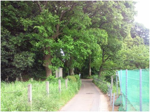 作草部特別緑地保全地区