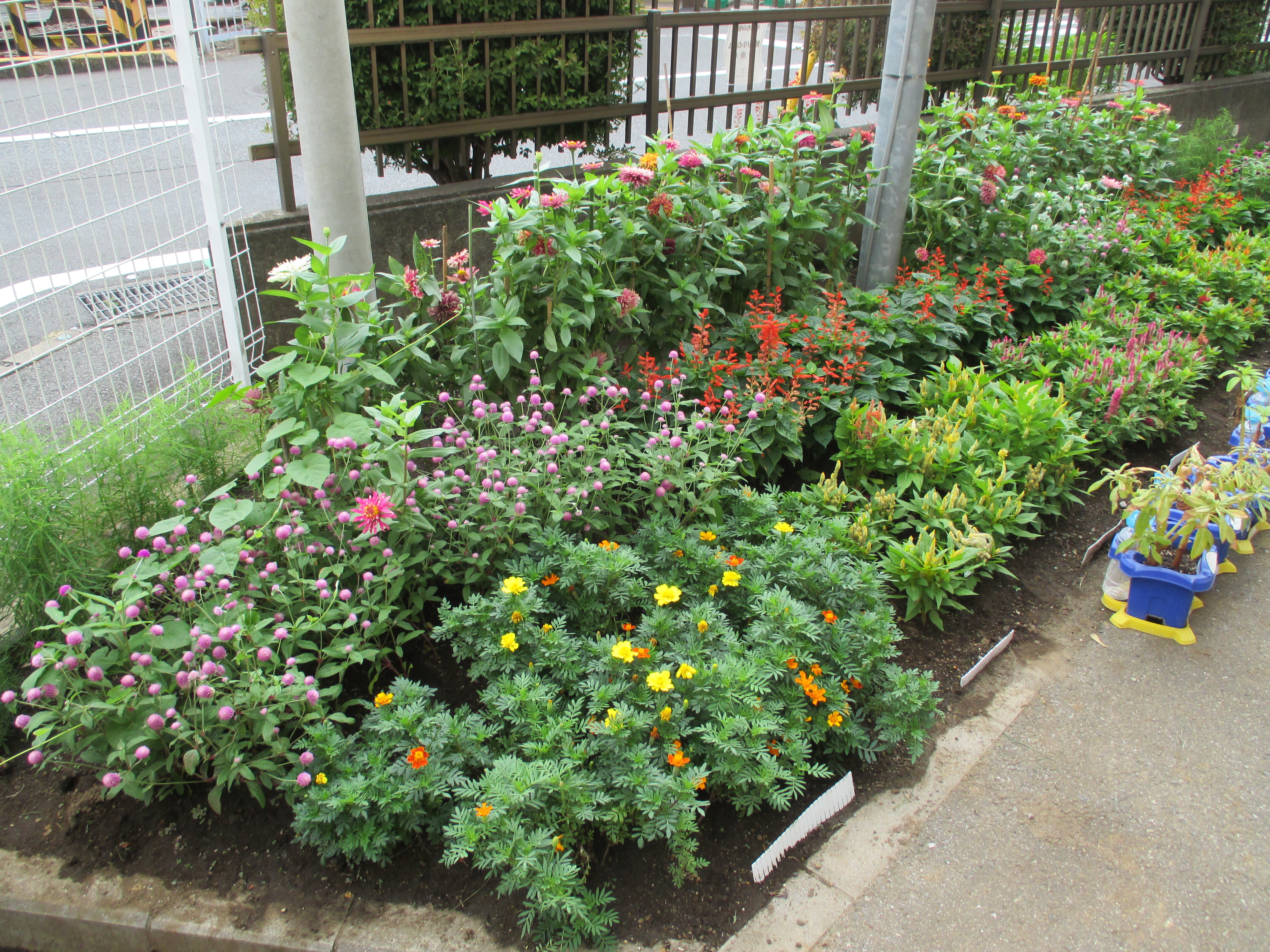 造園組合理事長賞