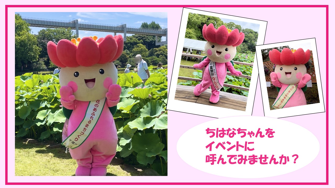 ちはなちゃんをイベントに呼んでみませんか