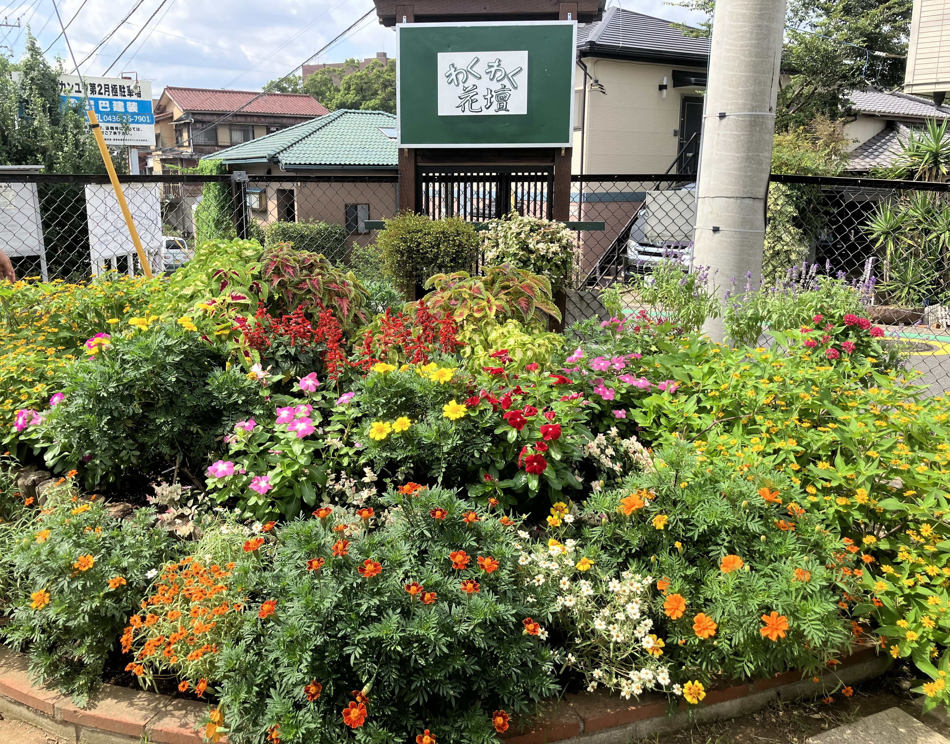 花議連花壇コン