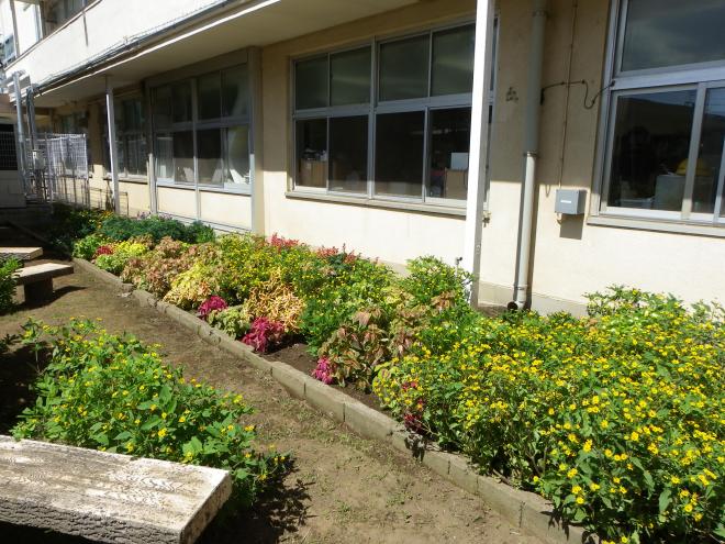 花見川中学校　優秀