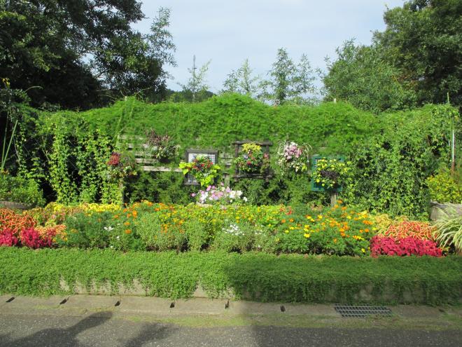 ほおじろ　園芸協会