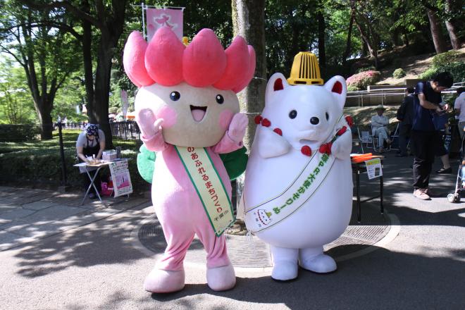 大賀ハスまつり2