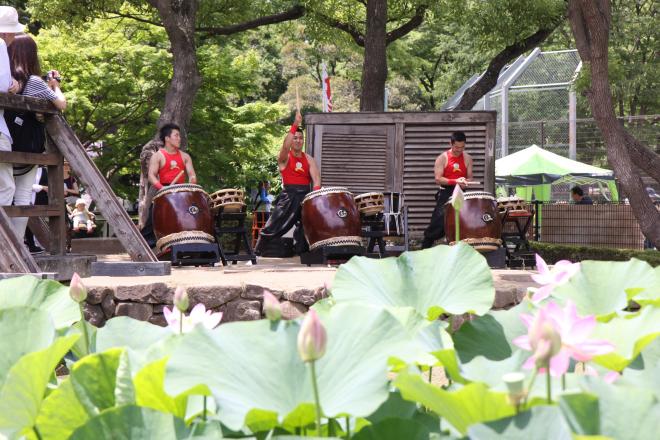 大賀ハスまつり4