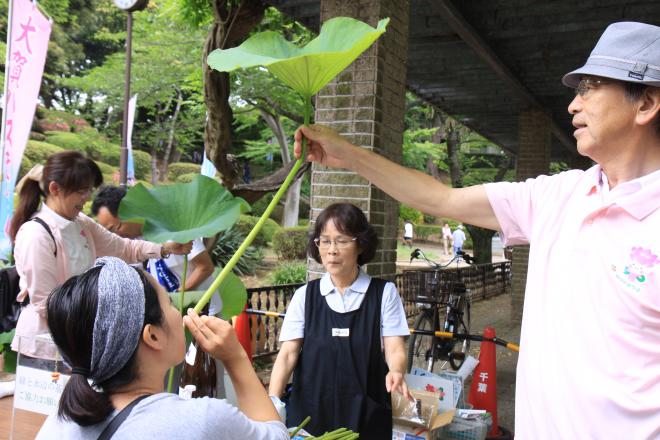 大賀ハスまつり5