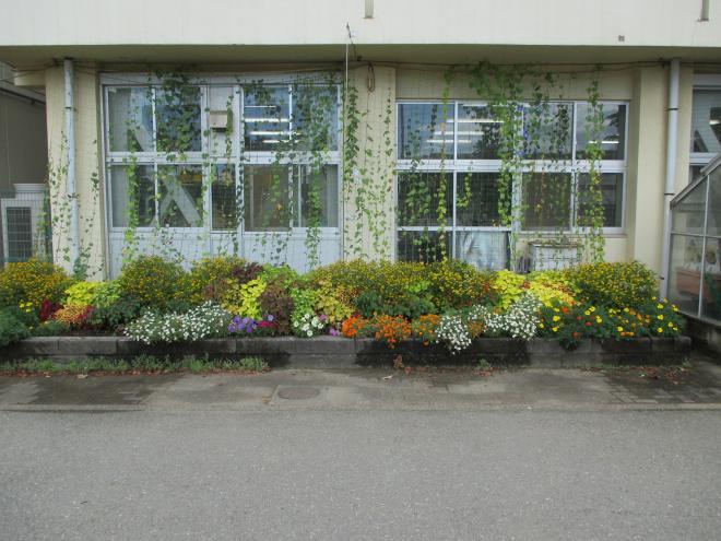 幕張西中学校　優秀