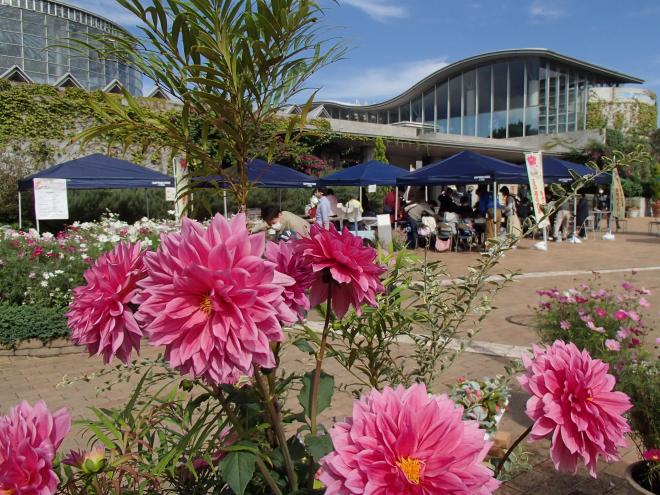 R2フラワーフェスティバル４