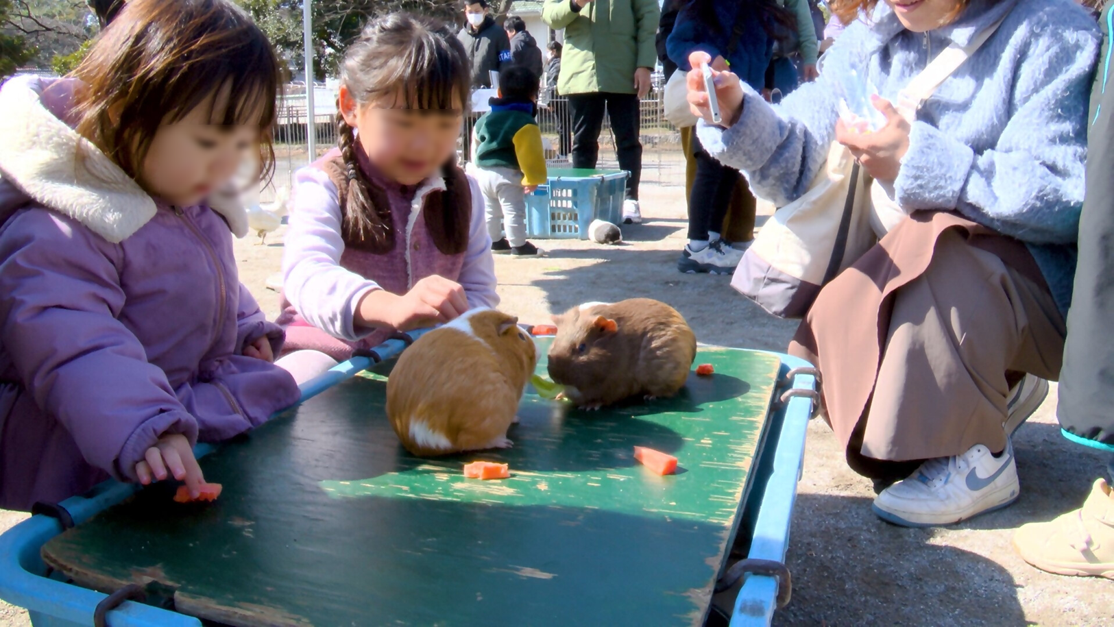 ふれあい動物園