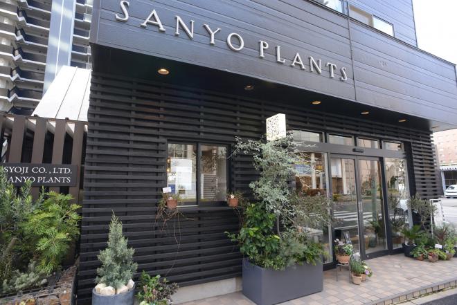 sanyoplants