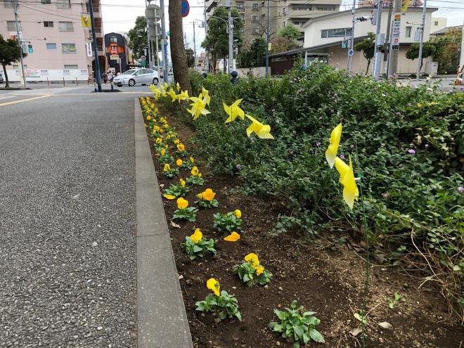 1129かざぐるま1