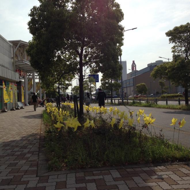 かざぐるま2015グローボ