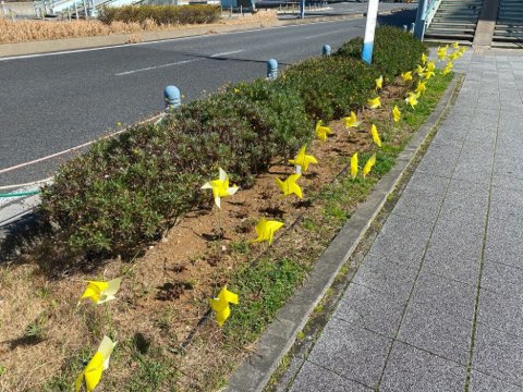 0223かざぐるま3