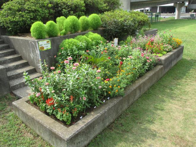 コミュニティガーデン写真