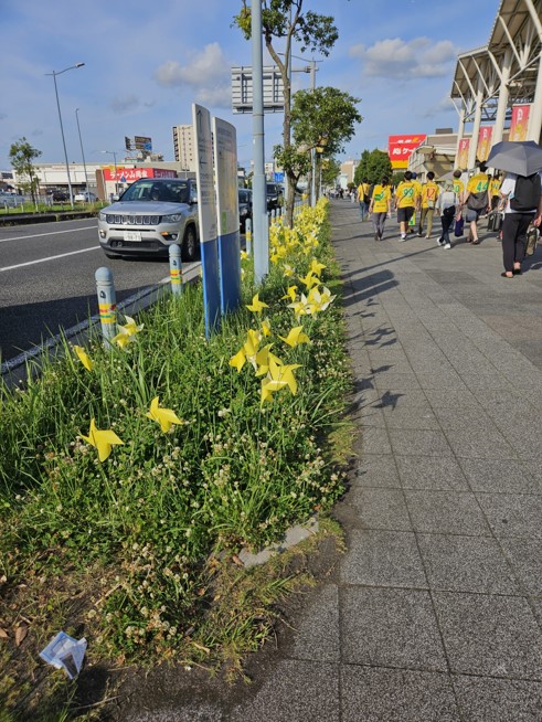 0621かざぐるまプロジェクト掲出後写真