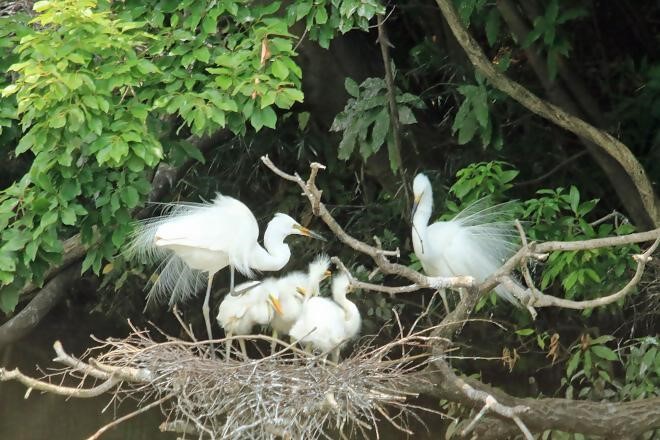 千城台野鳥観察園