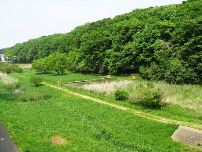 坂月川ビオトープ