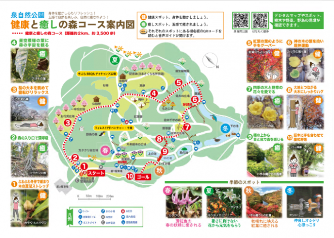 健康と癒しの森コース