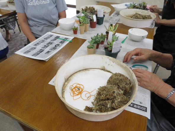 花づくり教室300103