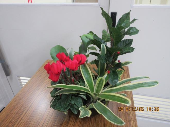 花づくり教室Ｈ３０－２④