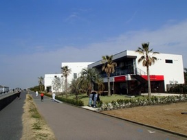 ザ・サーフ_オーシャンテラス