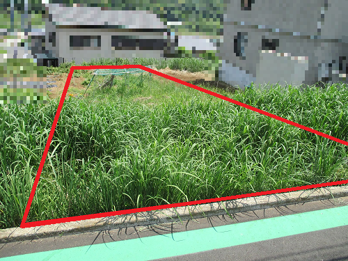 202606写真