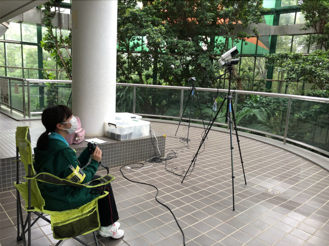 バードホール調査