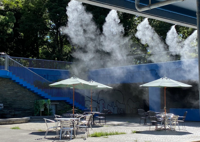 展望デッキミスト