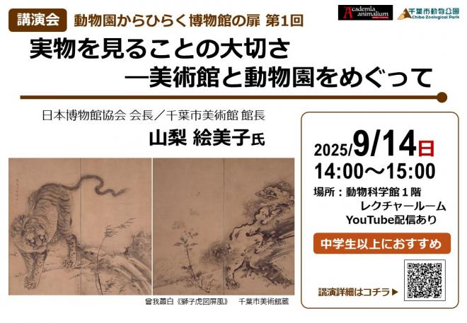 実物を見ることの大切さ