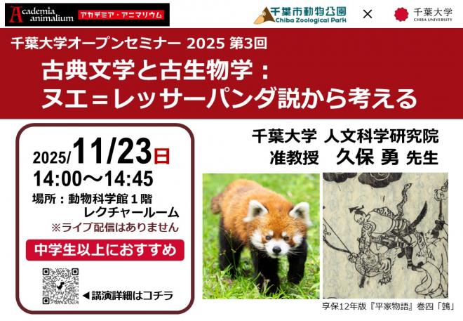 レッサーパンダ説