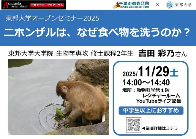 ニホンザルは、なぜ食べ物を洗うのか?