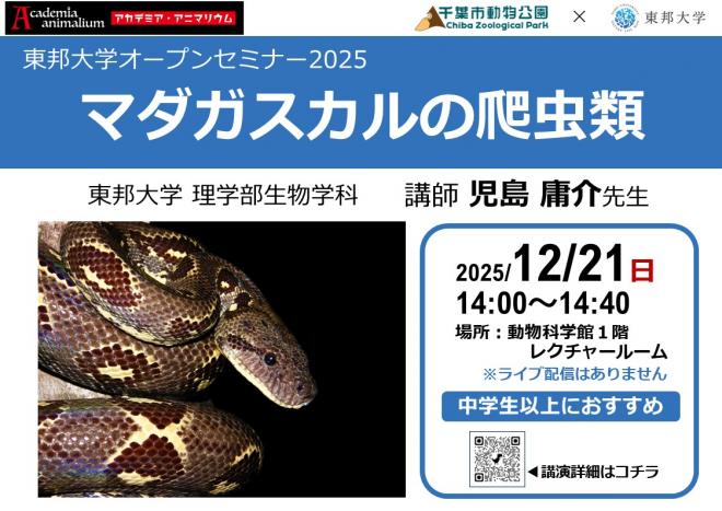 マダガスカルの爬虫類