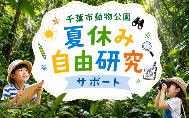 夏休み自由研究サポート