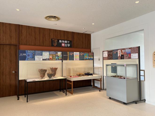 動物園で考古学（リニューアル後）