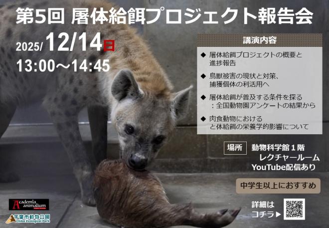 第5回屠体給餌プロジェクト報告会