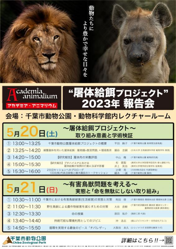 屠体給餌ポスター