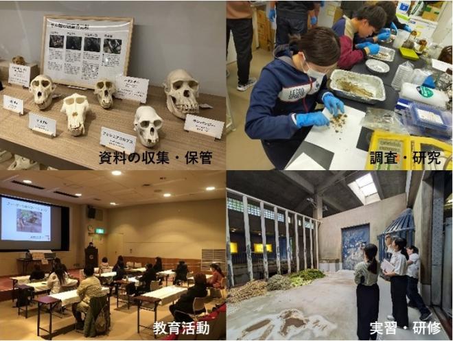 本園が実施している博物館事業の例