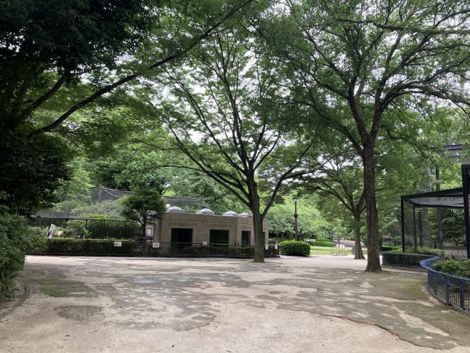 写真（鳥類・水系ゾーン260608）1