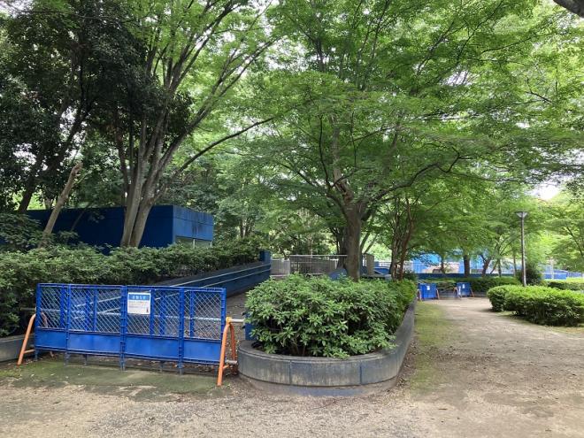 写真（鳥類・水系ゾーン260608）2