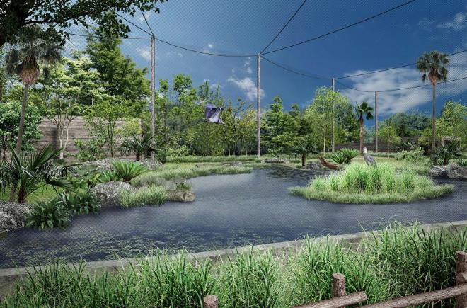 ハシビロコウ展示場イメージ