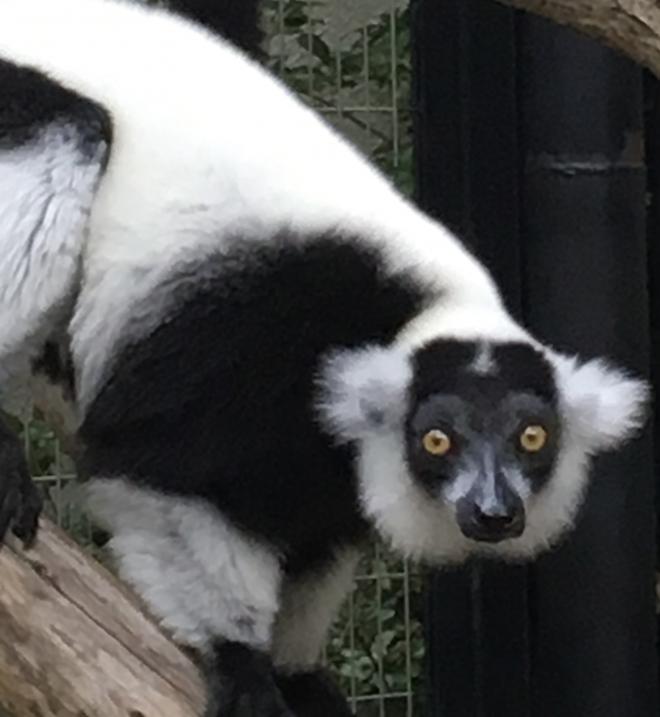 獣医師ガイド0223