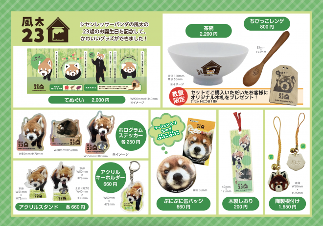 千葉市：千葉市動物公園 レッサーパンダ「風太」23歳記念イベント