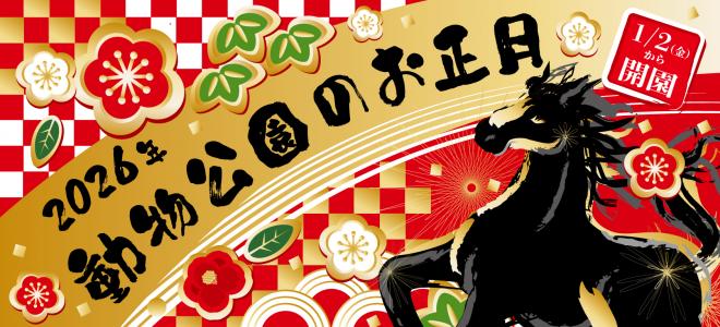 2026お正月バナー