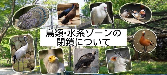 鳥類水系ゾーンバナー