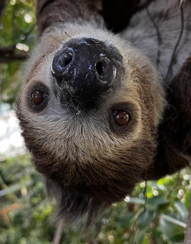 獣医師ガイド0124