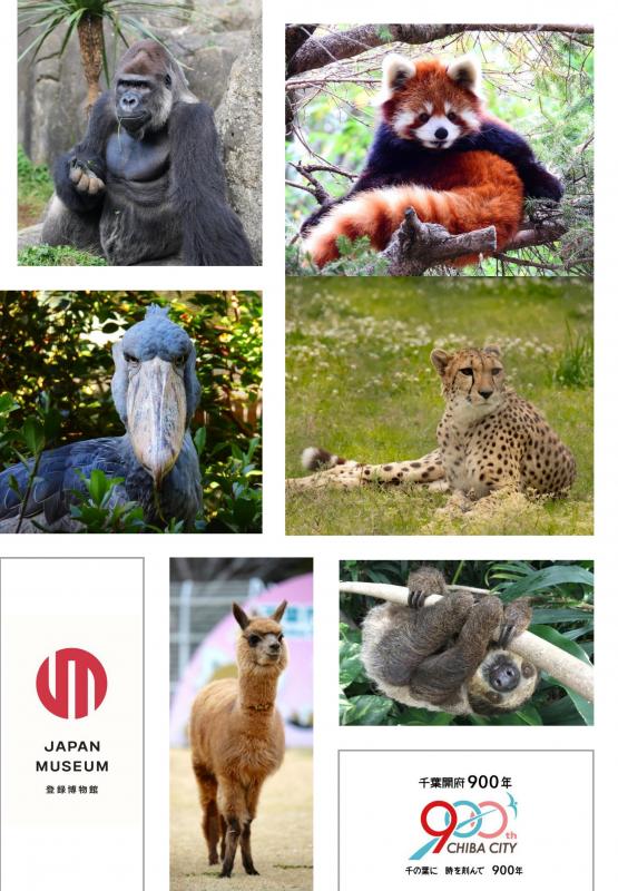 40周年記念クリアファイル