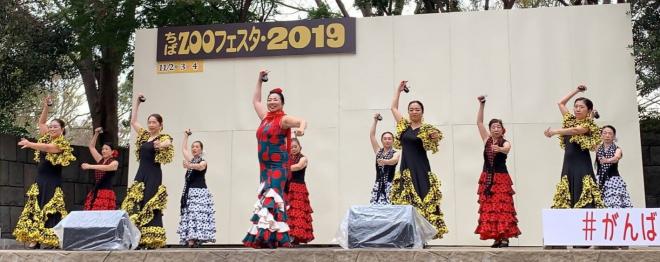 フラメンコボニータス