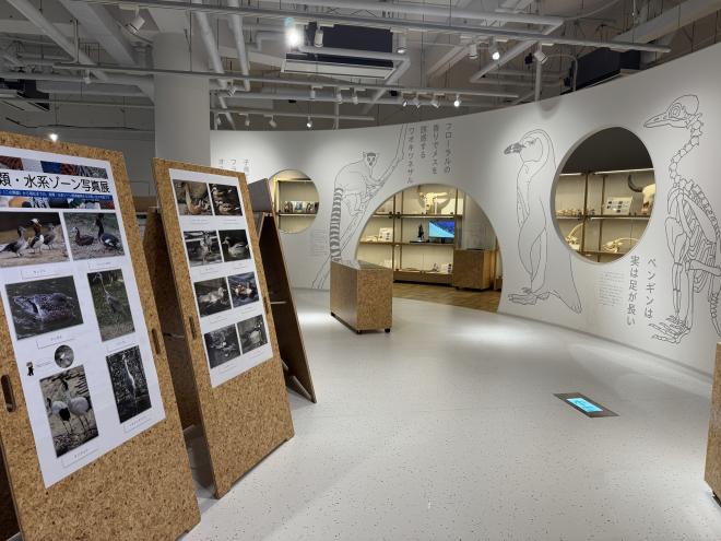 鳥類水系ゾーン写真展